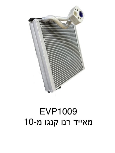 רנו קנגו מ-10