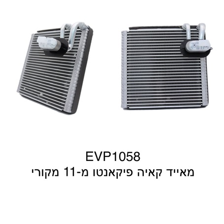 קאיה פיקאנטו מ-11 מקורי