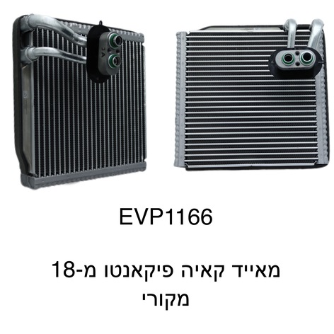קאיה פיקאנטו מ-18 מקורי 