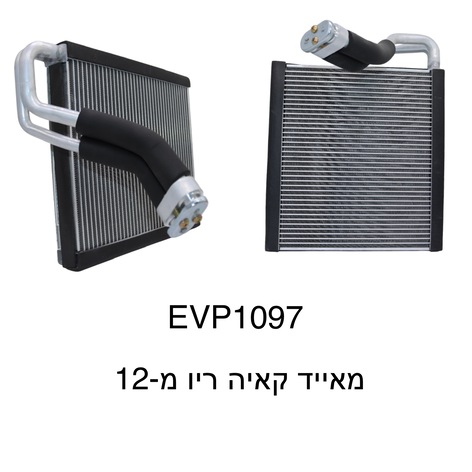 קאיה ריו מ-12