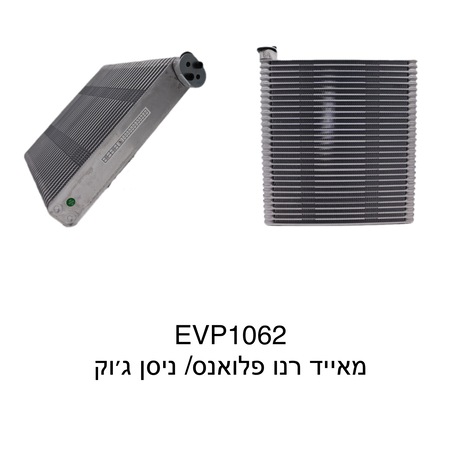 רנו פלואנס / ניסן גוק 