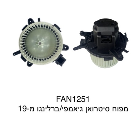 סיטרואן גאמפי / ברלינגו מ-19