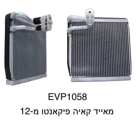 קאיה פיקאנטו מ-12