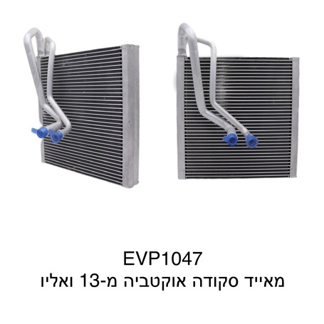 סקודה אוקטביה מ-13 ואליו
