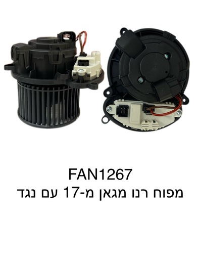 רנו מגאן מ-17 עם נגד