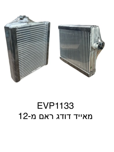 דודג ראם מ-12