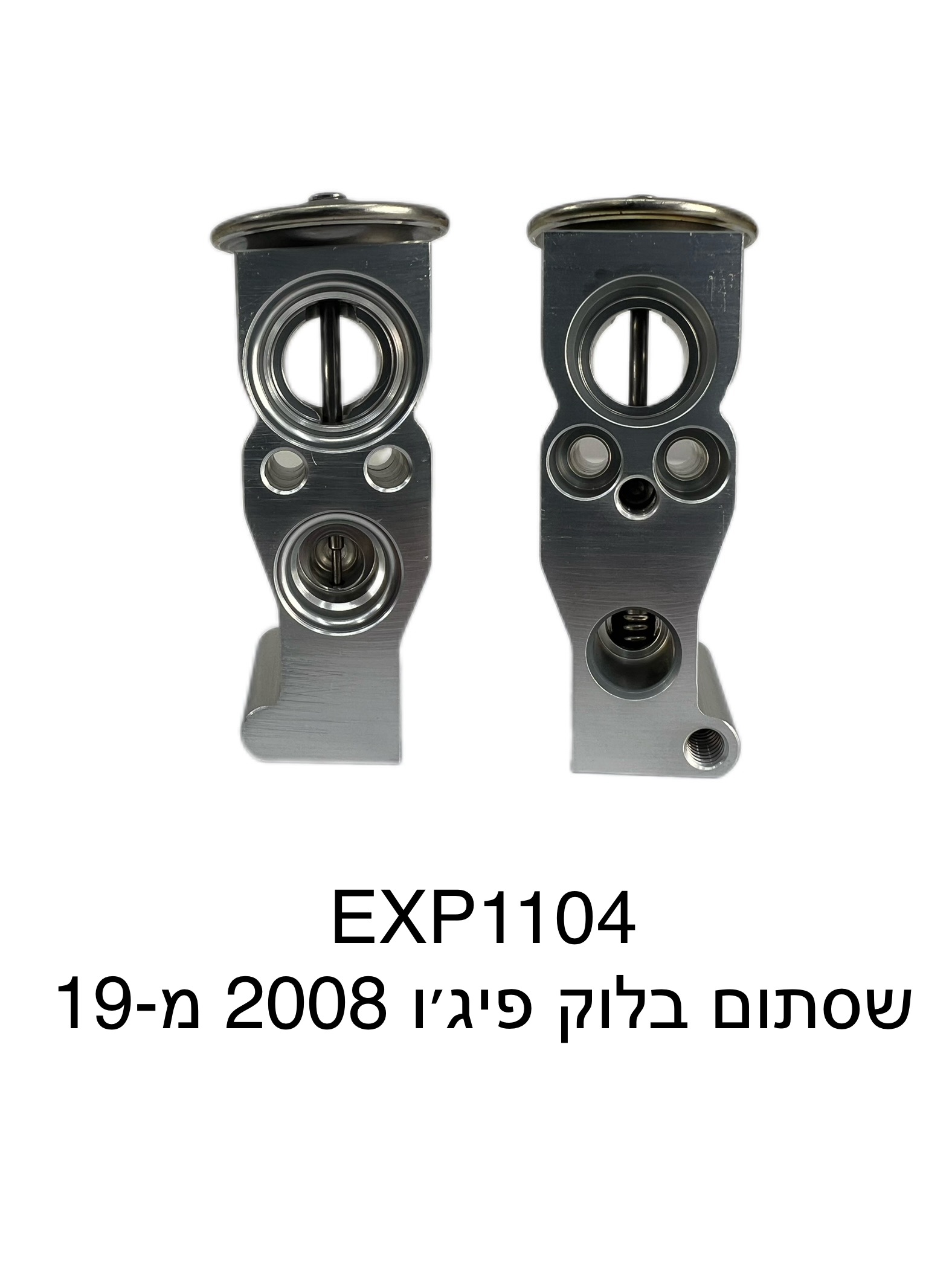 שסתום בלוק פיג'ו 2008 מ-19